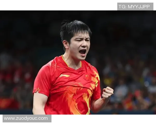 南京乒乓球队技术分析与发展探讨聚焦乒乓球运动的未来趋势与挑战